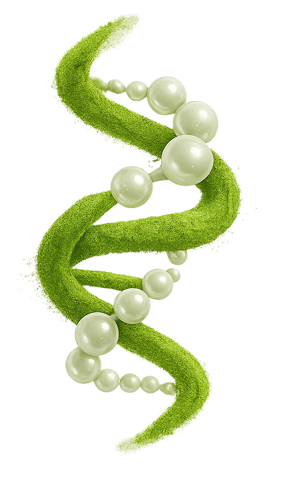 dna-matcha-kollagen.png__PID:1730886b-4b36-4f46-a59f-ec8a56841a08
